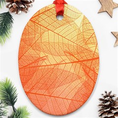 Abstract Texture Of Colorful Bright Pattern Transparent Leaves Orange And Yellow Color Ornament (oval) by Grandong