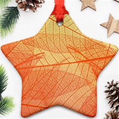 Abstract Texture Of Colorful Bright Pattern Transparent Leaves Orange And Yellow Color Ornament (star) by Grandong