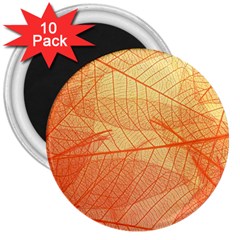 Abstract Texture Of Colorful Bright Pattern Transparent Leaves Orange And Yellow Color 3  Magnets (10 Pack)  by Grandong