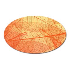 Abstract Texture Of Colorful Bright Pattern Transparent Leaves Orange And Yellow Color Oval Magnet