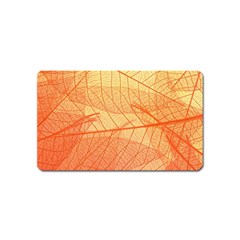 Abstract Texture Of Colorful Bright Pattern Transparent Leaves Orange And Yellow Color Magnet (name Card) by Grandong