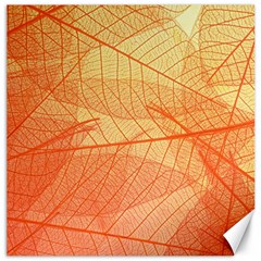 Abstract Texture Of Colorful Bright Pattern Transparent Leaves Orange And Yellow Color Canvas 12  X 12  by Grandong