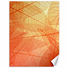 Abstract Texture Of Colorful Bright Pattern Transparent Leaves Orange And Yellow Color Canvas 36  X 48  by Grandong