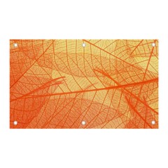 Abstract Texture Of Colorful Bright Pattern Transparent Leaves Orange And Yellow Color Banner And Sign 5  X 3  by Grandong