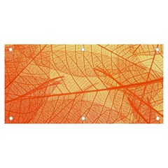 Abstract Texture Of Colorful Bright Pattern Transparent Leaves Orange And Yellow Color Banner And Sign 6  X 3  by Grandong