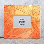 Abstract Texture Of Colorful Bright Pattern Transparent Leaves Orange And Yellow Color White Wall Photo Frame 5  x 7  Front