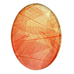 Abstract Texture Of Colorful Bright Pattern Transparent Leaves Orange And Yellow Color Oval Glass Fridge Magnet (4 Pack) by Grandong