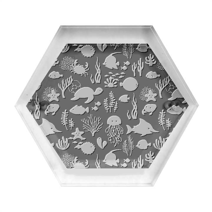 Fish Sea Animals Pattern Hexagon Wood Jewelry Box