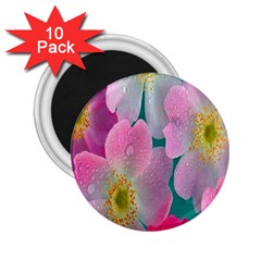 Pink Neon Flowers, Flower 2 25  Magnets (10 Pack)  by nateshop