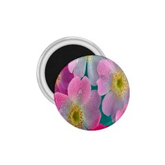 Pink Neon Flowers, Flower 1 75  Magnets by nateshop