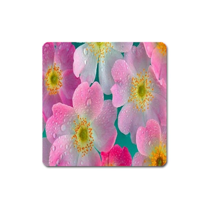 Pink Neon Flowers, Flower Square Magnet