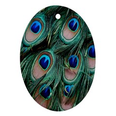 Peacock-feathers,blue2 Ornament (oval)