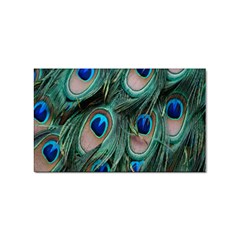 Peacock-feathers,blue2 Sticker Rectangular (10 Pack)