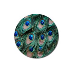 Peacock-feathers,blue2 Magnet 3  (round) by nateshop