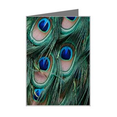 Peacock-feathers,blue2 Mini Greeting Card by nateshop