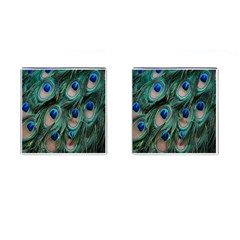 Peacock-feathers,blue2 Cufflinks (square) by nateshop