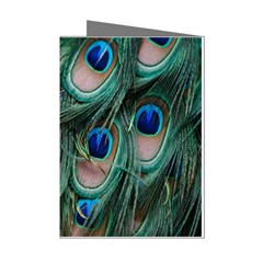 Peacock-feathers,blue2 Mini Greeting Cards (pkg Of 8) by nateshop