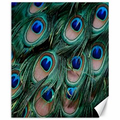 Peacock-feathers,blue2 Canvas 8  X 10  by nateshop