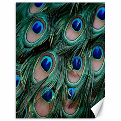 Peacock-feathers,blue2 Canvas 18  X 24  by nateshop