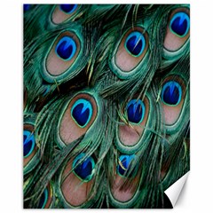 Peacock-feathers,blue2 Canvas 11  X 14  by nateshop