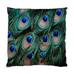 Peacock-feathers,blue2 Standard Cushion Case (two Sides) by nateshop