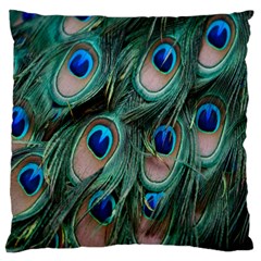 Peacock-feathers,blue2 Large Premium Plush Fleece Cushion Case (one Side) by nateshop