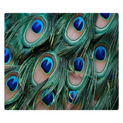 Peacock-feathers,blue2 Two Sides Premium Plush Fleece Blanket (small) by nateshop