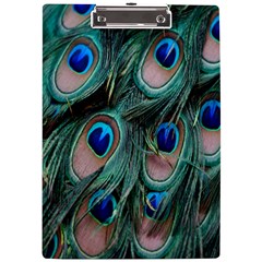 Peacock-feathers,blue2 A4 Acrylic Clipboard by nateshop