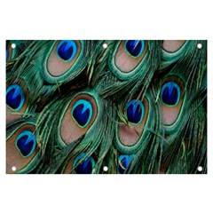 Peacock-feathers,blue2 Banner And Sign 6  X 4  by nateshop