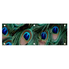 Peacock-feathers,blue2 Banner And Sign 6  X 2  by nateshop