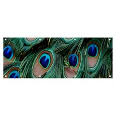 Peacock-feathers,blue2 Banner And Sign 8  X 3  by nateshop