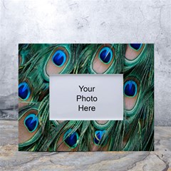 Peacock-feathers,blue2 White Tabletop Photo Frame 4 x6 