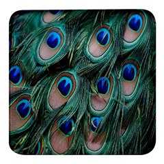 Peacock-feathers,blue2 Square Glass Fridge Magnet (4 Pack) by nateshop