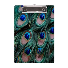 Peacock-feathers,blue2 A5 Acrylic Clipboard by nateshop