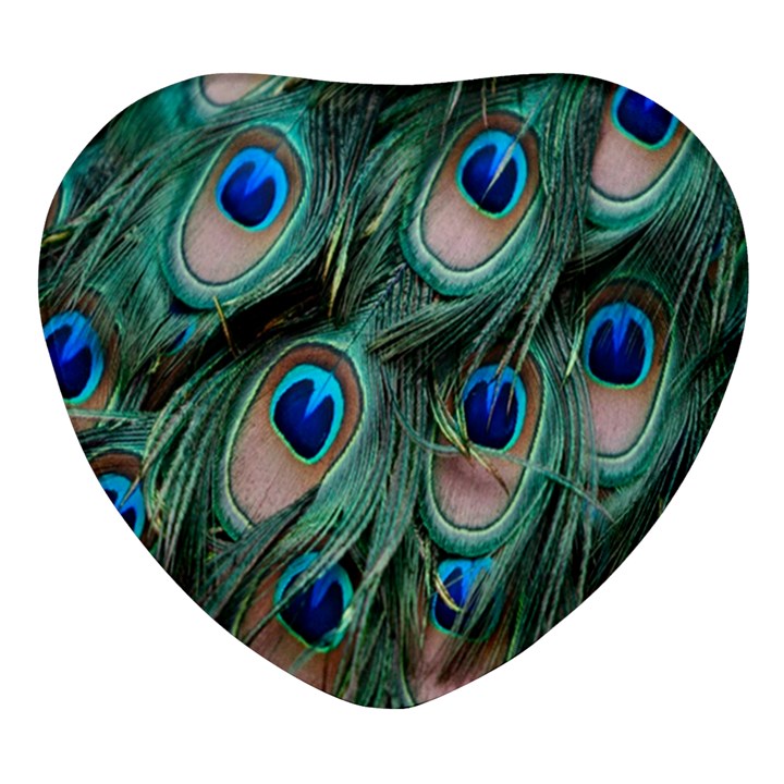 Peacock-feathers,blue2 Heart Glass Fridge Magnet (4 pack)