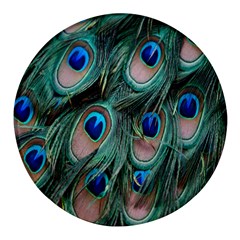 Peacock-feathers,blue2 Round Glass Fridge Magnet (4 Pack) by nateshop