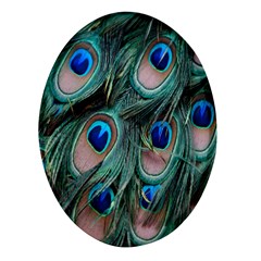 Peacock-feathers,blue2 Oval Glass Fridge Magnet (4 Pack) by nateshop