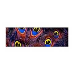 Peacock-feathers,blue,yellow Sticker (bumper) by nateshop