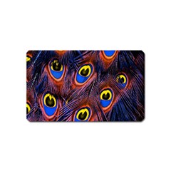 Peacock-feathers,blue,yellow Magnet (name Card) by nateshop