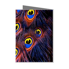 Peacock-feathers,blue,yellow Mini Greeting Cards (pkg Of 8) by nateshop