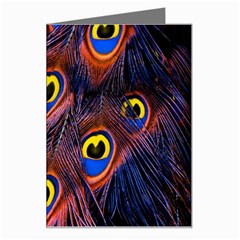 Peacock-feathers,blue,yellow Greeting Card by nateshop