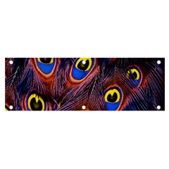 Peacock-feathers,blue,yellow Banner And Sign 6  X 2  by nateshop