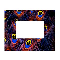 Peacock-feathers,blue,yellow White Tabletop Photo Frame 4 x6  by nateshop