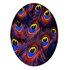 Peacock-feathers,blue,yellow Oval Glass Fridge Magnet (4 Pack)