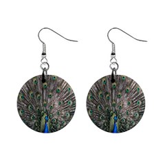 Peacock-feathers1 Mini Button Earrings by nateshop