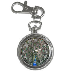 Peacock-feathers1 Key Chain Watches