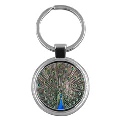 Peacock-feathers1 Key Chain (round) by nateshop