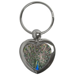 Peacock-feathers1 Key Chain (heart) by nateshop