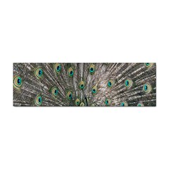 Peacock-feathers1 Sticker Bumper (10 Pack) by nateshop