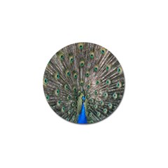 Peacock-feathers1 Golf Ball Marker (4 Pack) by nateshop